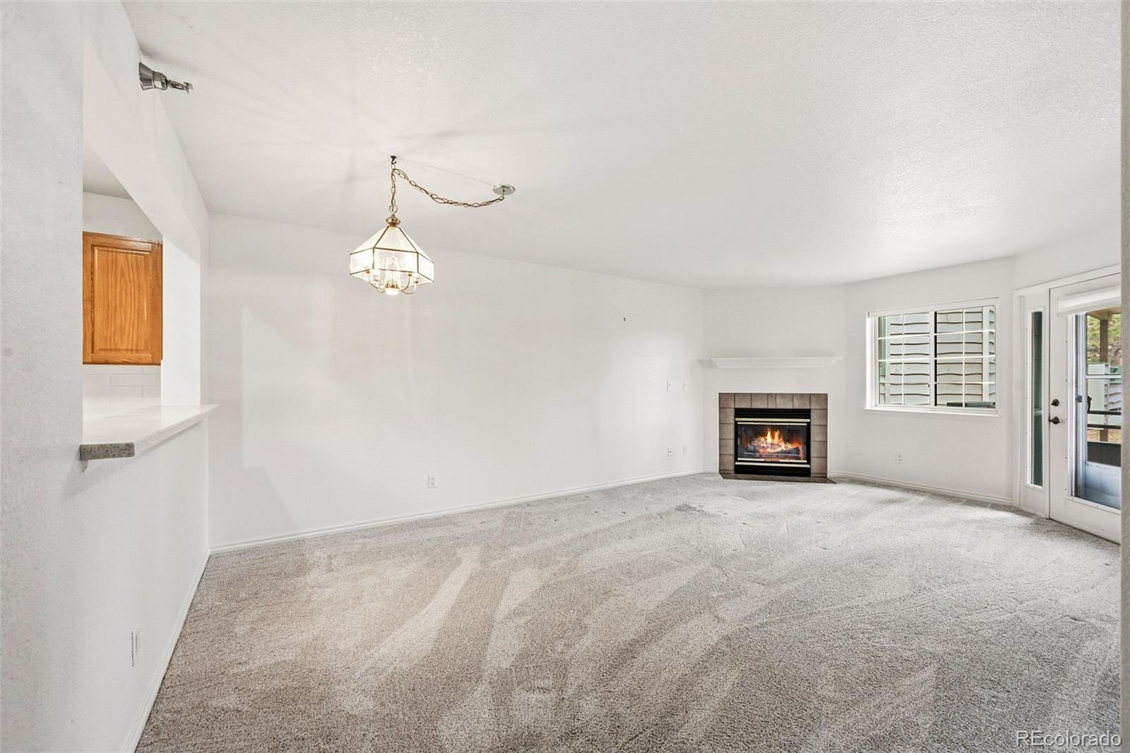 MLS Image #13 for 31819  rocky village drive,evergreen, Colorado