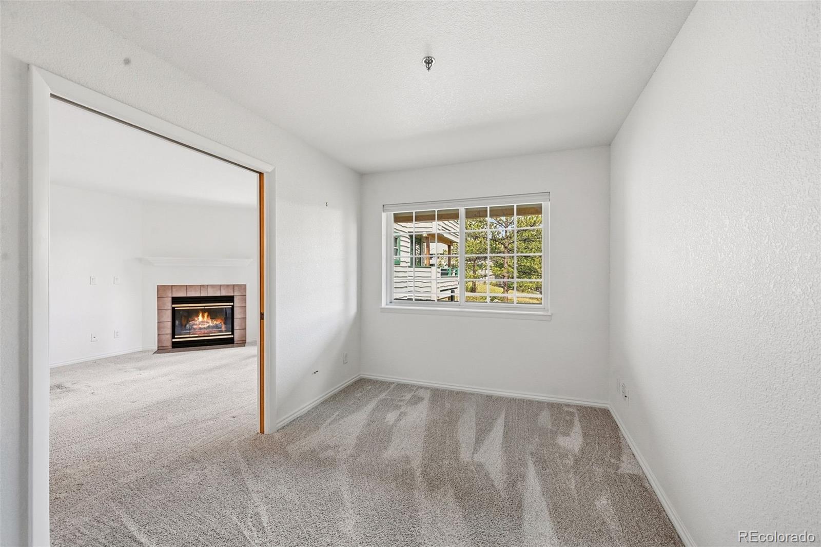MLS Image #15 for 31819  rocky village drive,evergreen, Colorado