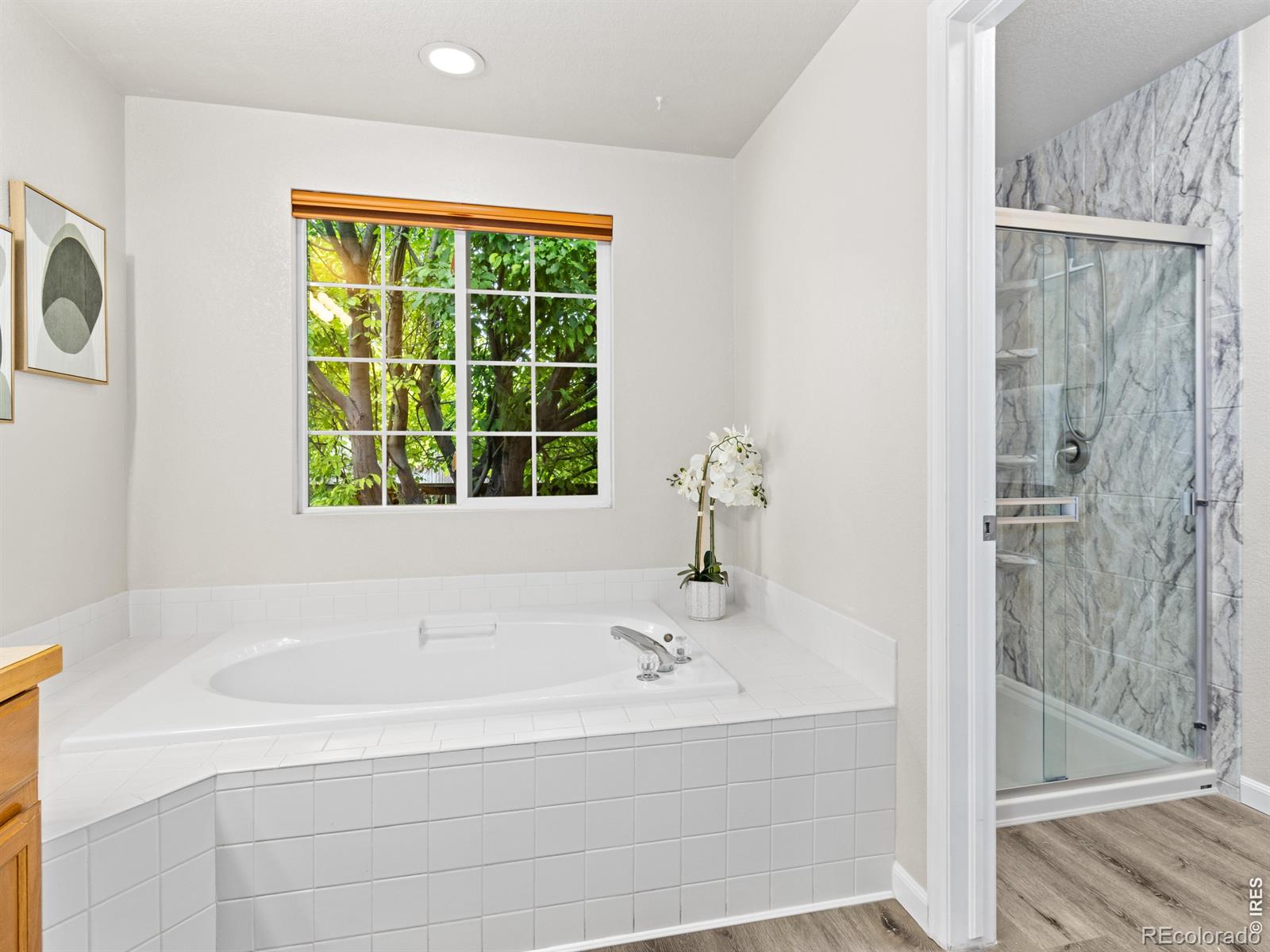 MLS Image #20 for 4203  lookout lane,fort collins, Colorado
