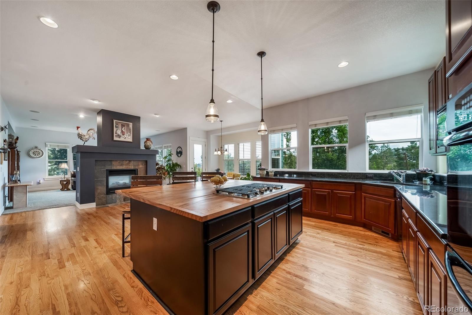 MLS Image #11 for 5464  killen avenue,castle rock, Colorado