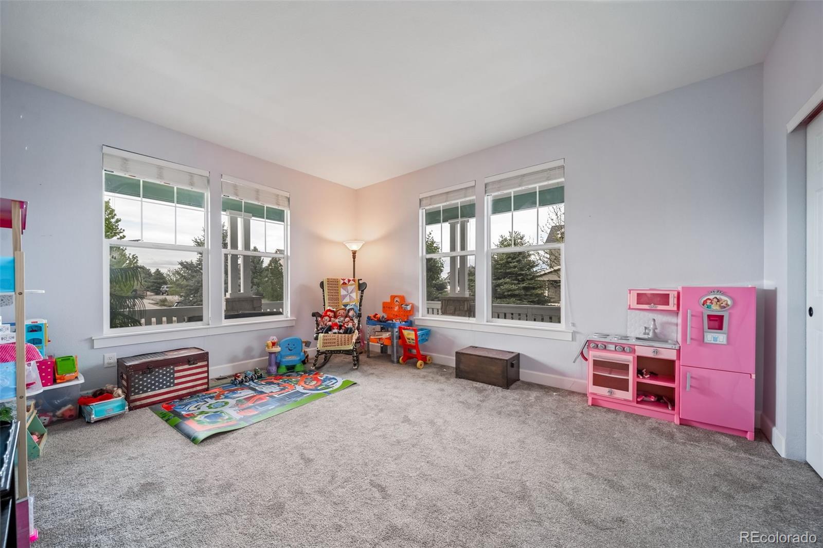 MLS Image #18 for 5464  killen avenue,castle rock, Colorado