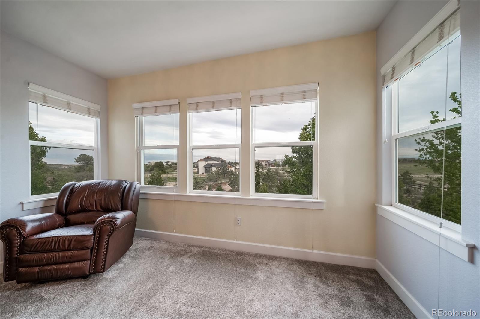 MLS Image #22 for 5464  killen avenue,castle rock, Colorado
