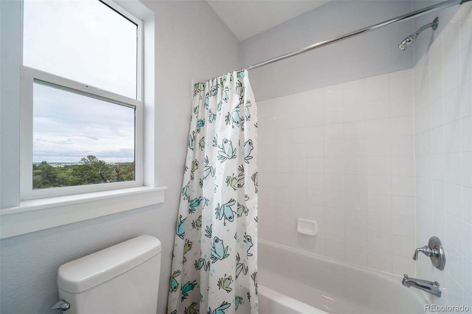 MLS Image #29 for 5464  killen avenue,castle rock, Colorado