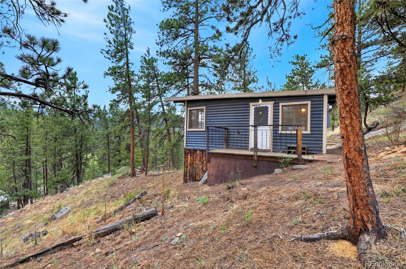 MLS Image #1 for 354  mesa drive,evergreen, Colorado