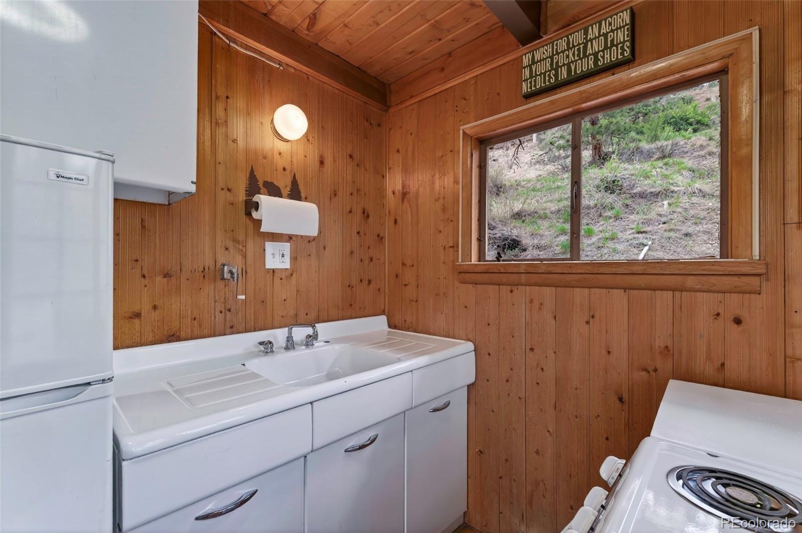 MLS Image #15 for 354  mesa drive,evergreen, Colorado