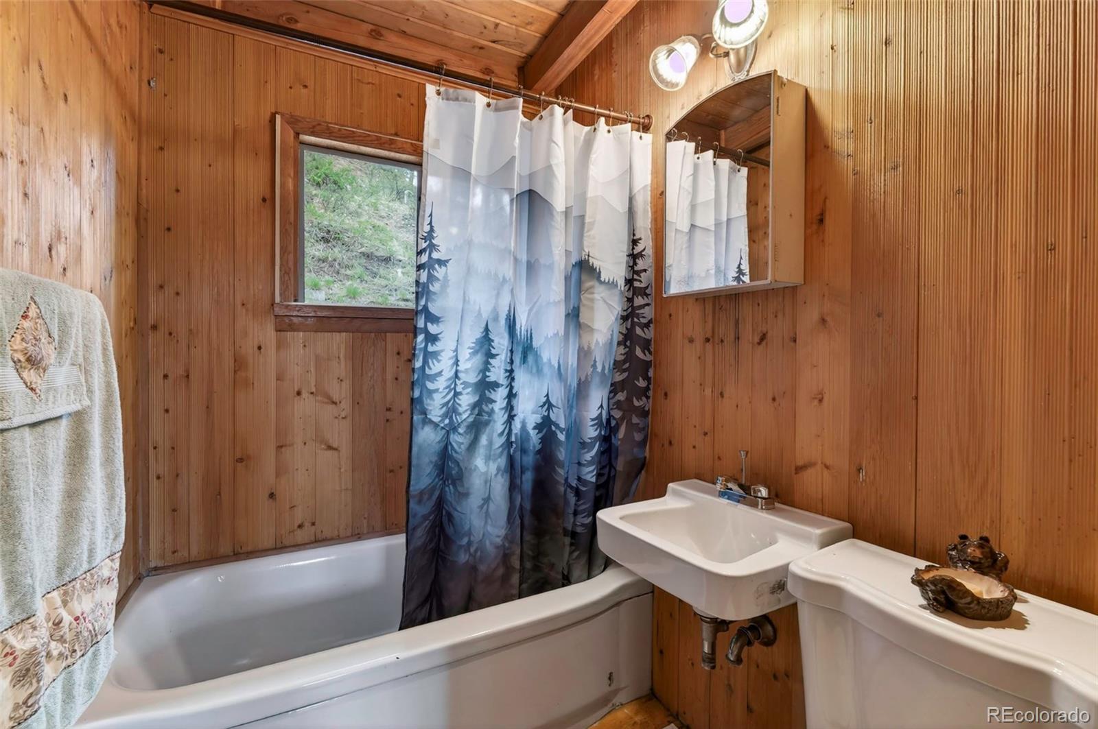 MLS Image #19 for 354  mesa drive,evergreen, Colorado