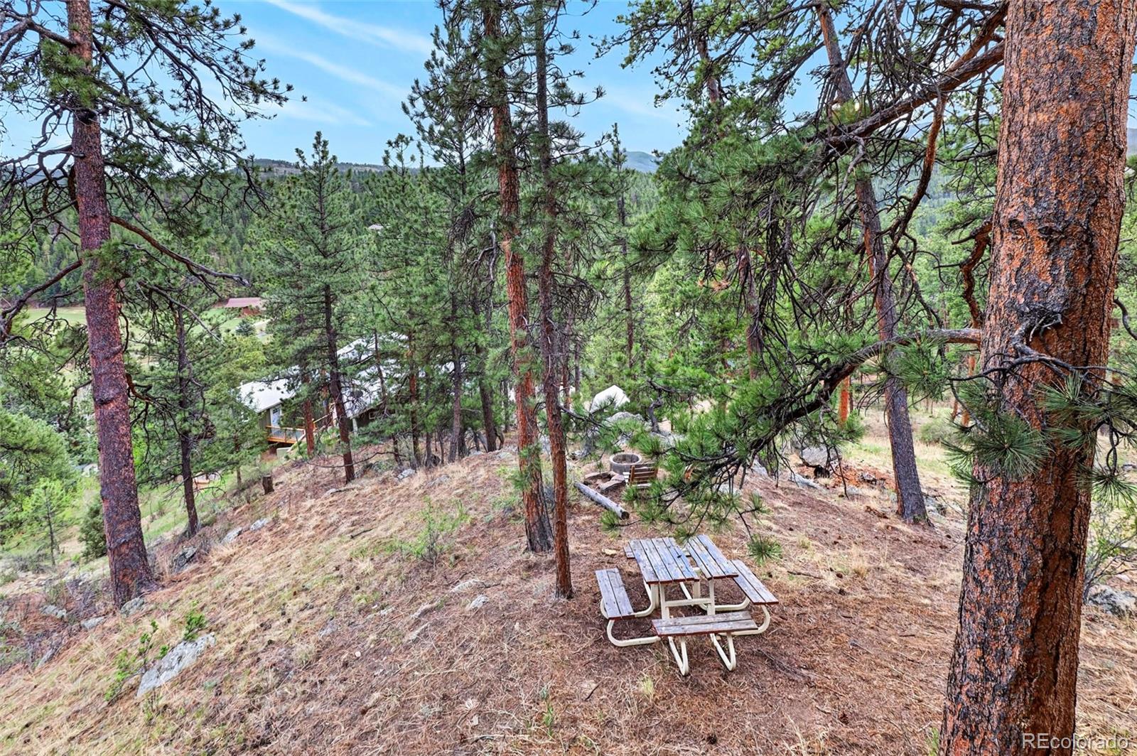 MLS Image #22 for 354  mesa drive,evergreen, Colorado