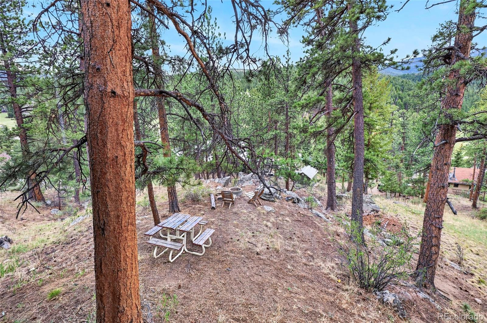 MLS Image #23 for 354  mesa drive,evergreen, Colorado