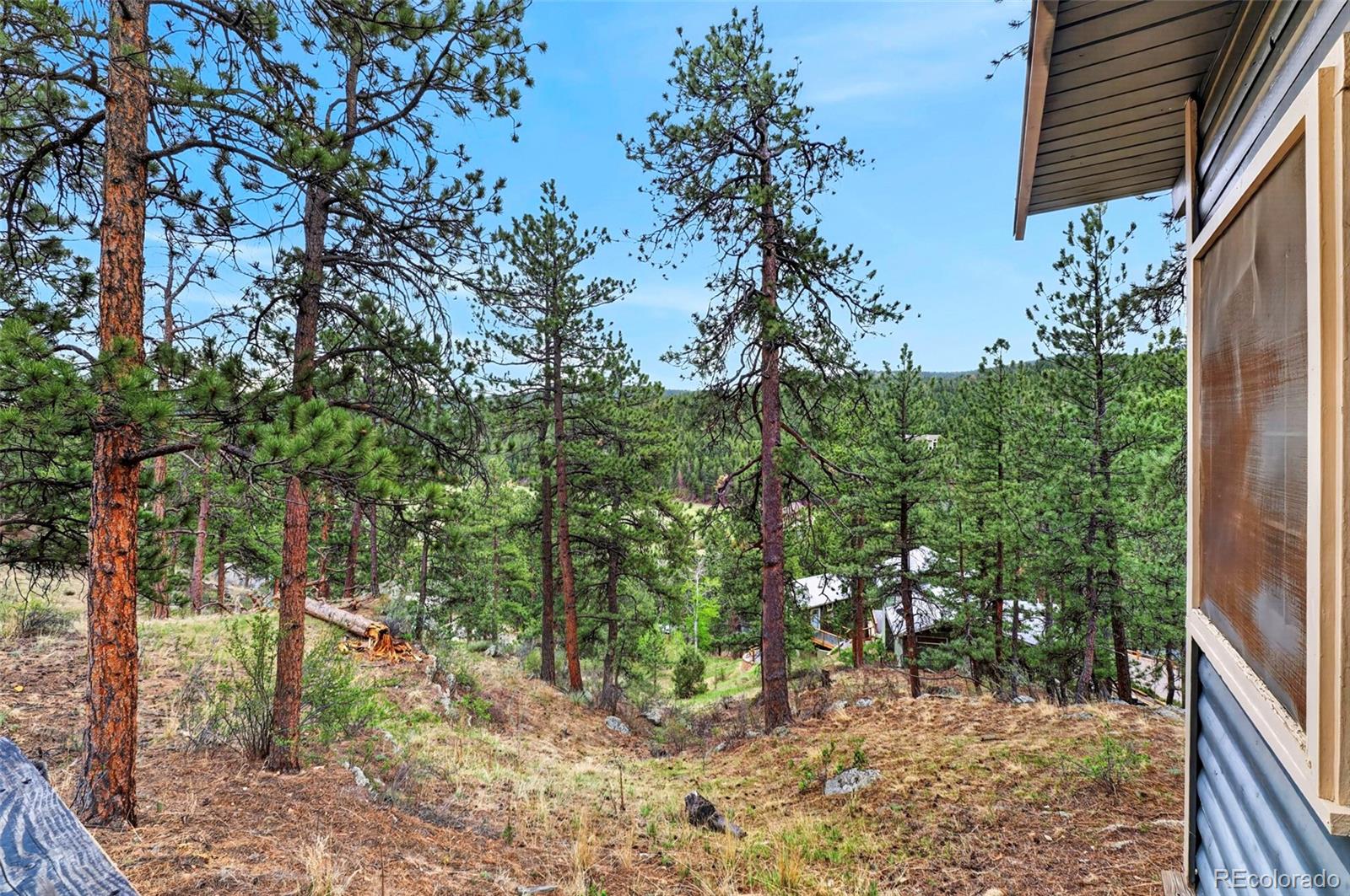 MLS Image #4 for 354  mesa drive,evergreen, Colorado