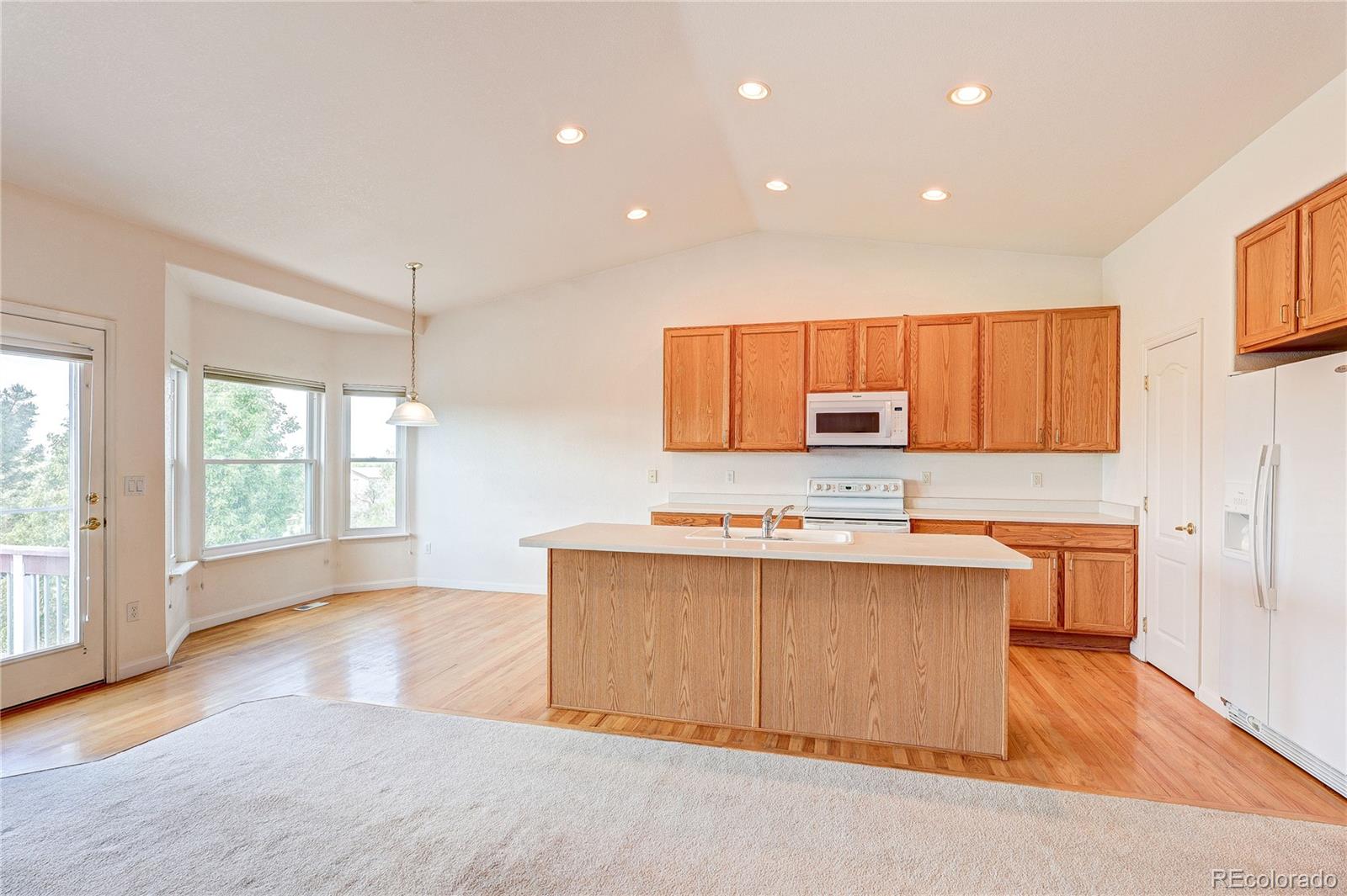 MLS Image #10 for 20974  woodside lane,parker, Colorado
