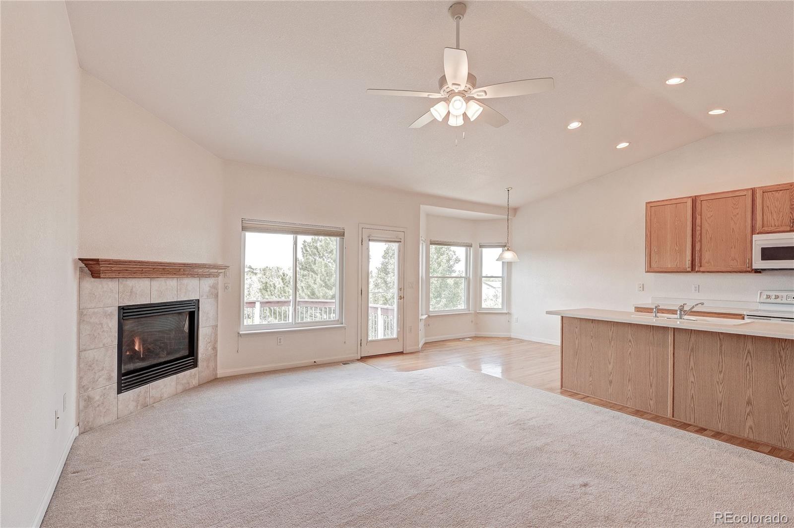 MLS Image #15 for 20974  woodside lane,parker, Colorado