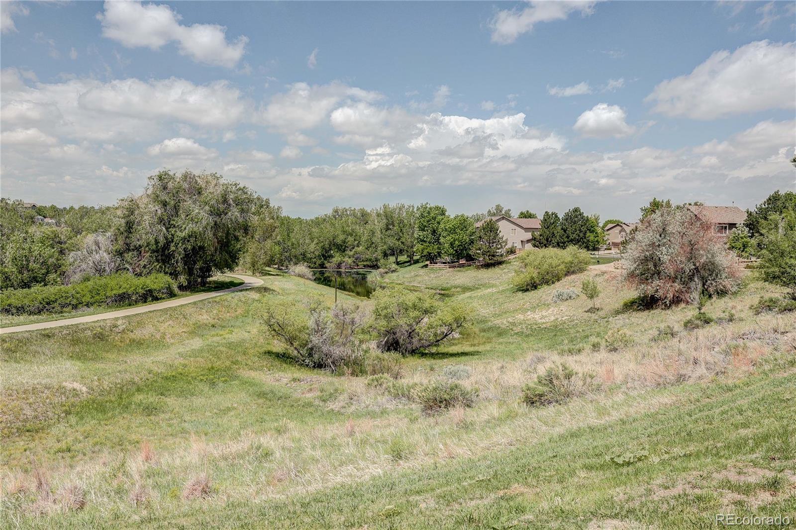 MLS Image #44 for 20974  woodside lane,parker, Colorado