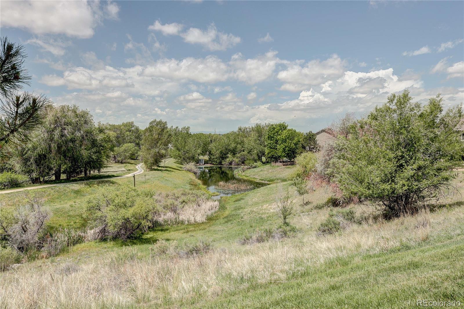 MLS Image #46 for 20974  woodside lane,parker, Colorado