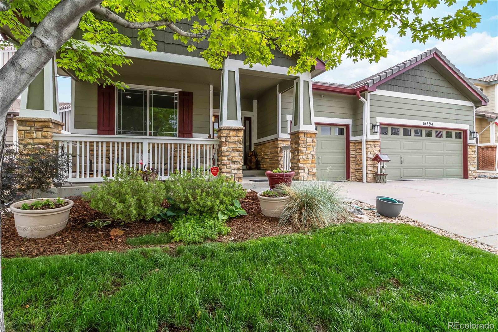 MLS Image #7 for 16594 e black horn drive,parker, Colorado