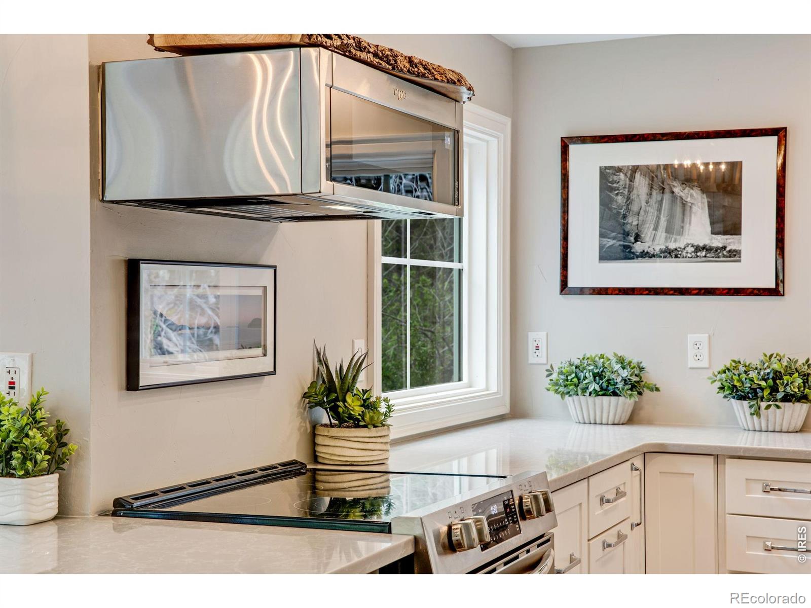 MLS Image #13 for 232  fox creek road,glen haven, Colorado