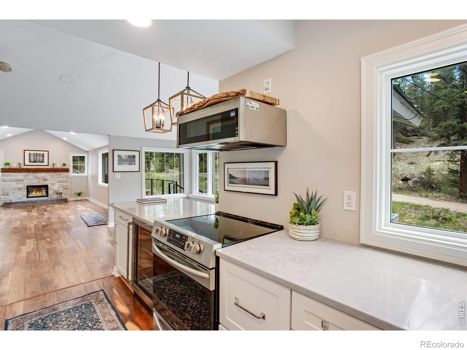 MLS Image #14 for 232  fox creek road,glen haven, Colorado