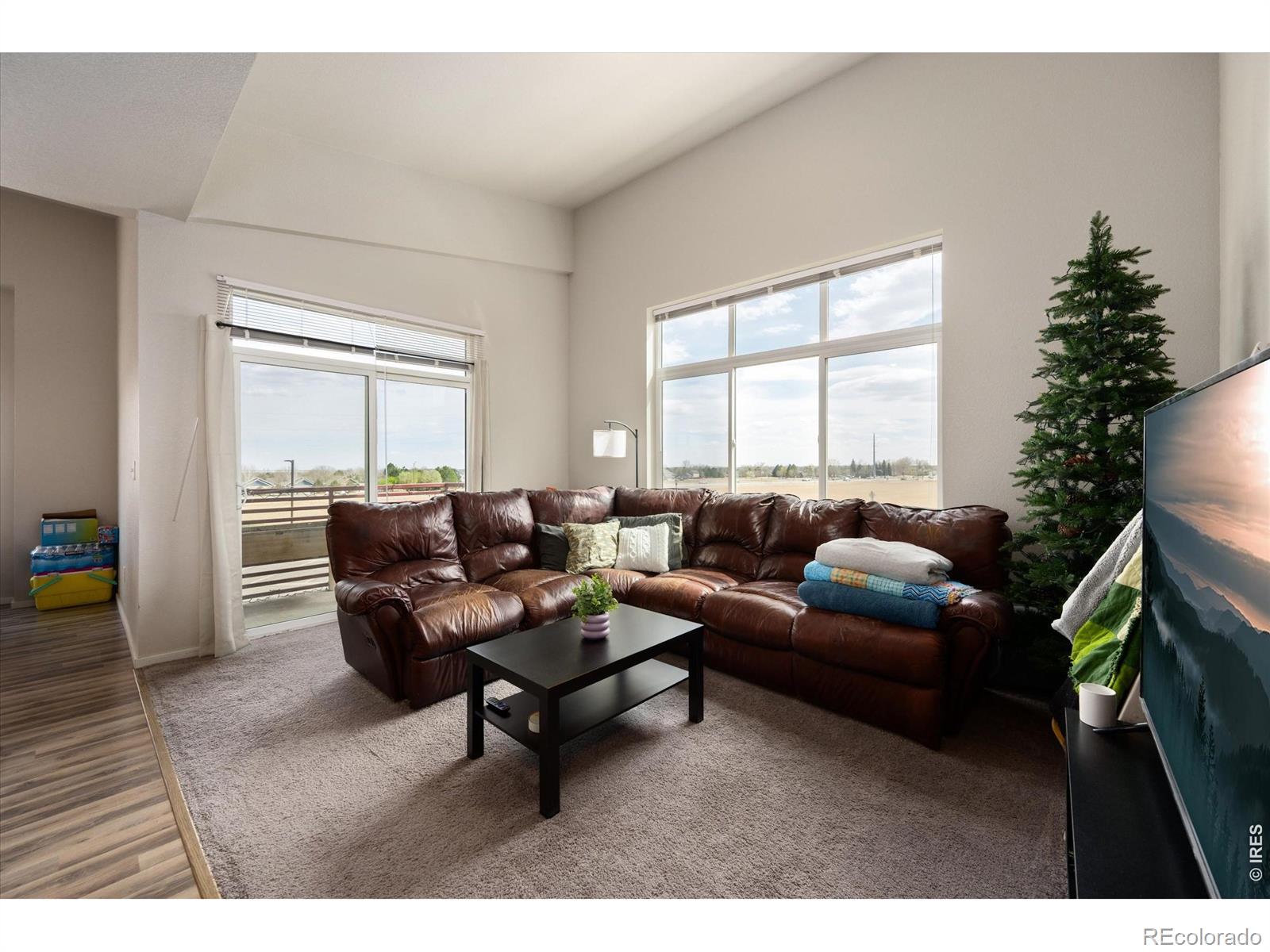 MLS Image #6 for 2940  kincaid drive,loveland, Colorado