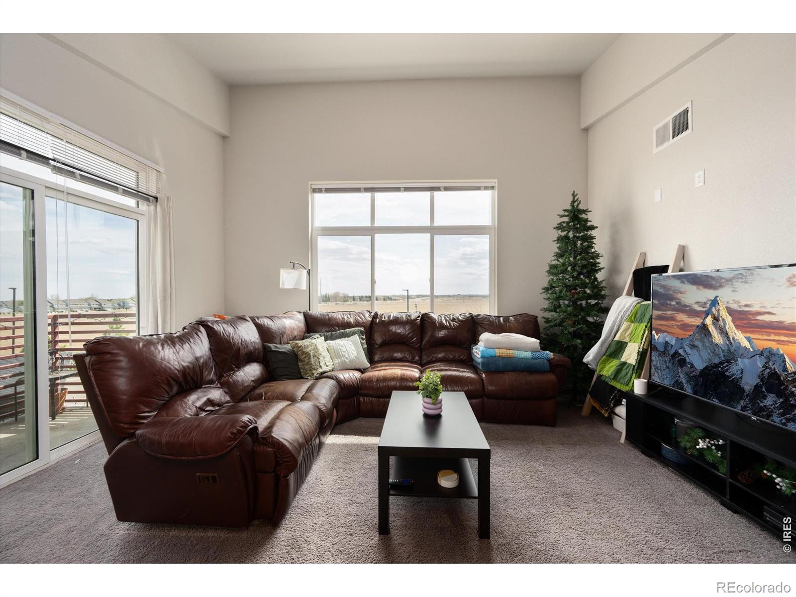 MLS Image #8 for 2940  kincaid drive,loveland, Colorado