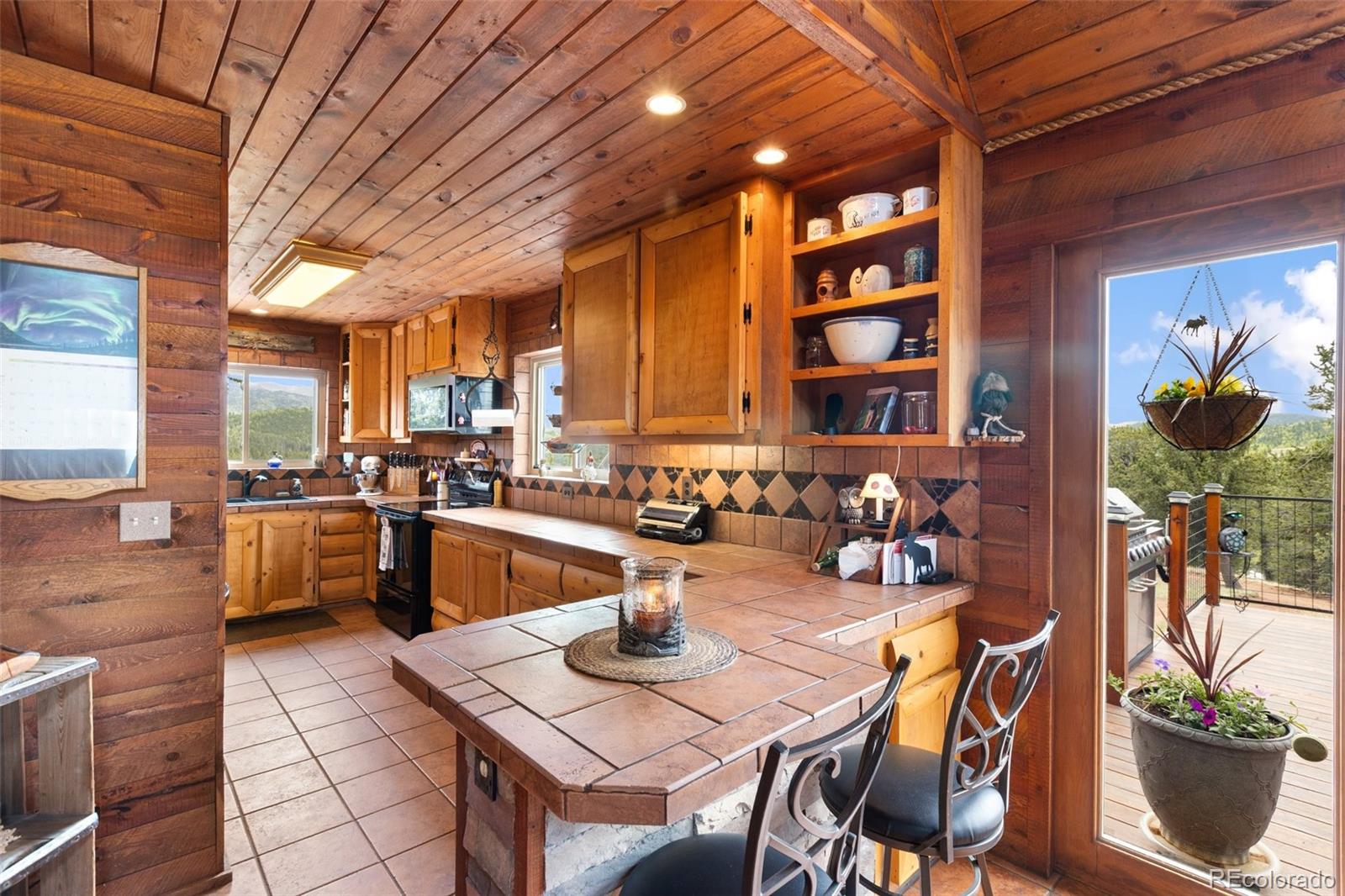 MLS Image #10 for 1052  crown point circle,cripple creek, Colorado