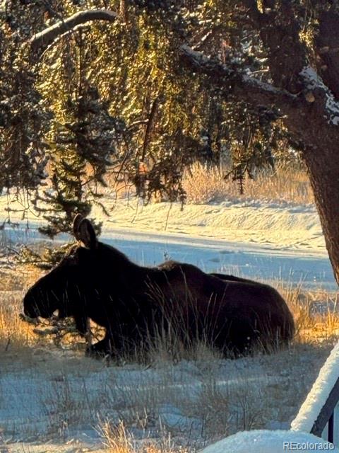 MLS Image #29 for 1052  crown point circle,cripple creek, Colorado