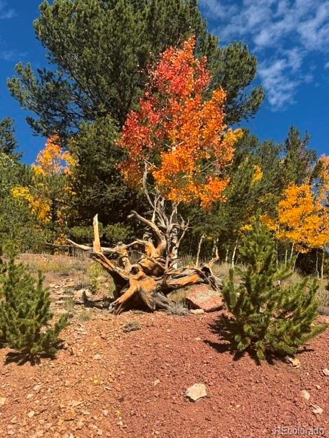 MLS Image #30 for 1052  crown point circle,cripple creek, Colorado