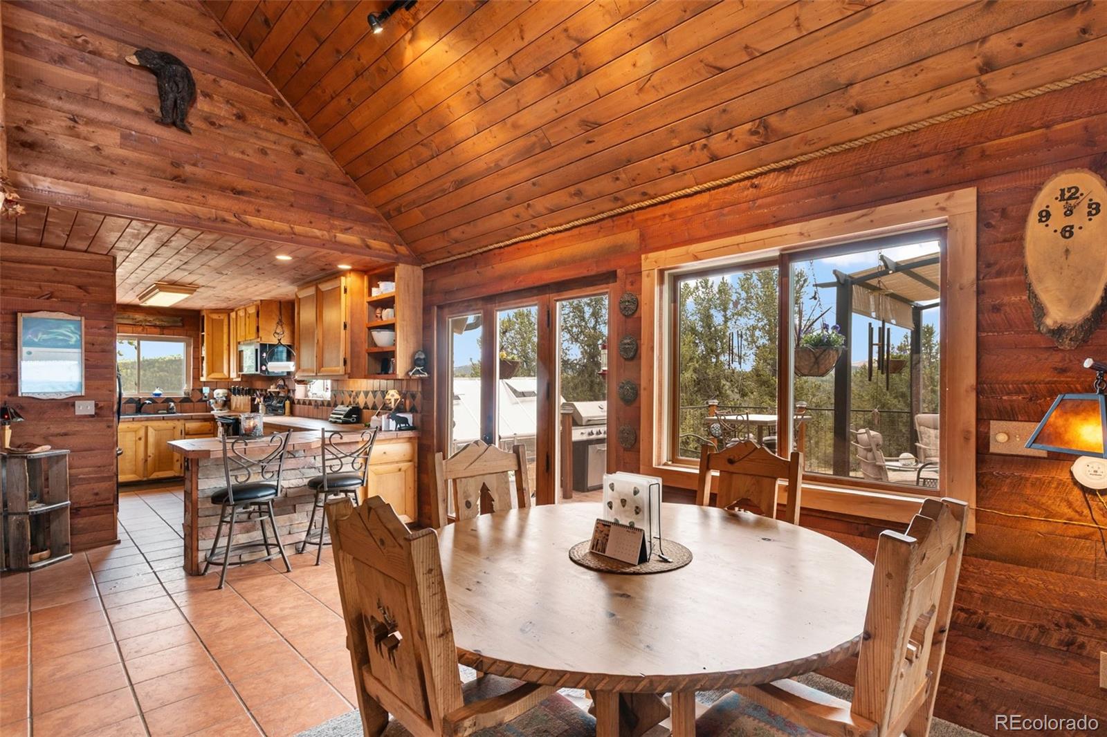 MLS Image #7 for 1052  crown point circle,cripple creek, Colorado
