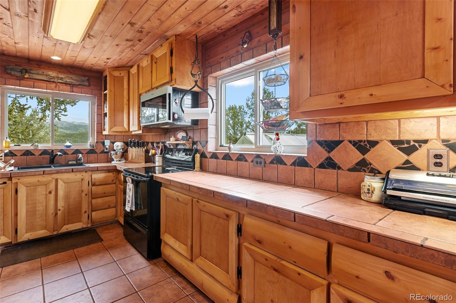 MLS Image #8 for 1052  crown point circle,cripple creek, Colorado