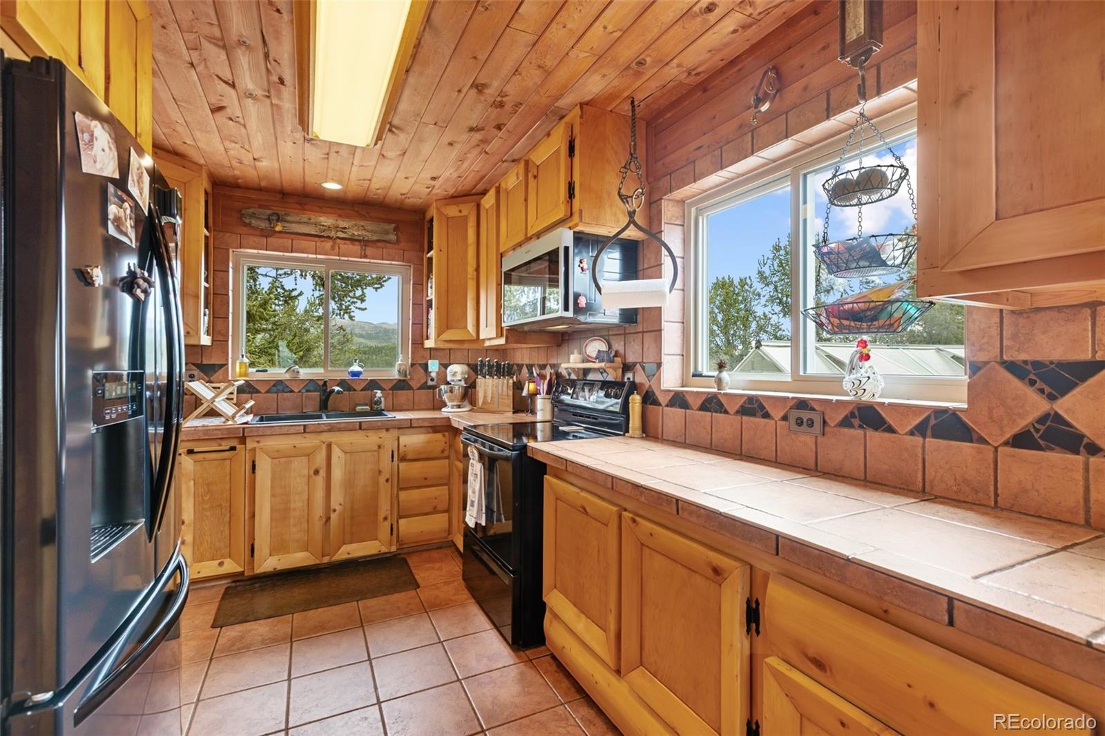 MLS Image #9 for 1052  crown point circle,cripple creek, Colorado