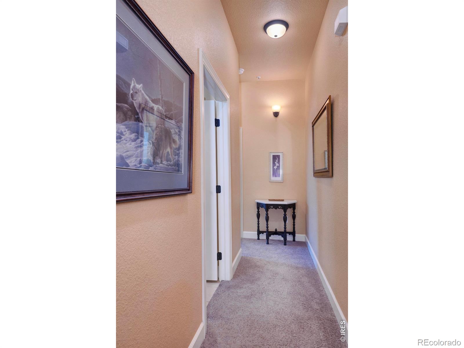 MLS Image #10 for 1379  charles drive,longmont, Colorado