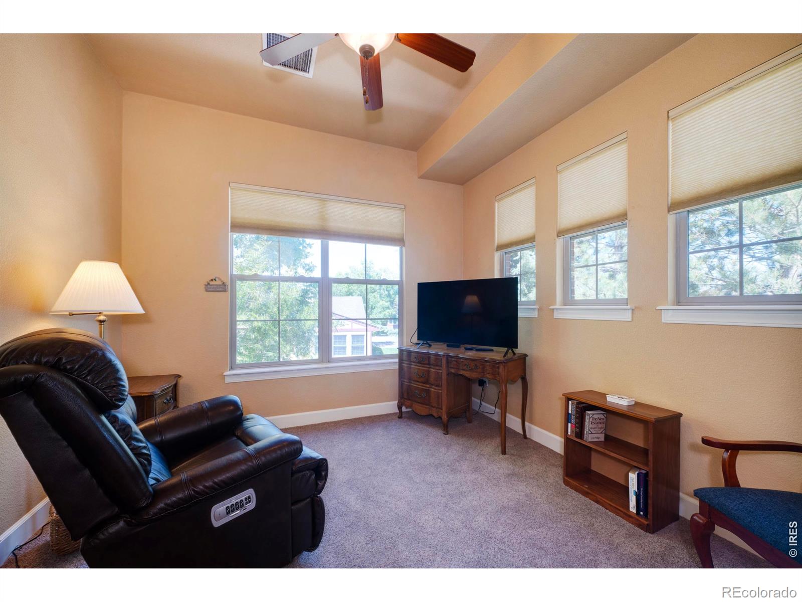 MLS Image #15 for 1379  charles drive,longmont, Colorado