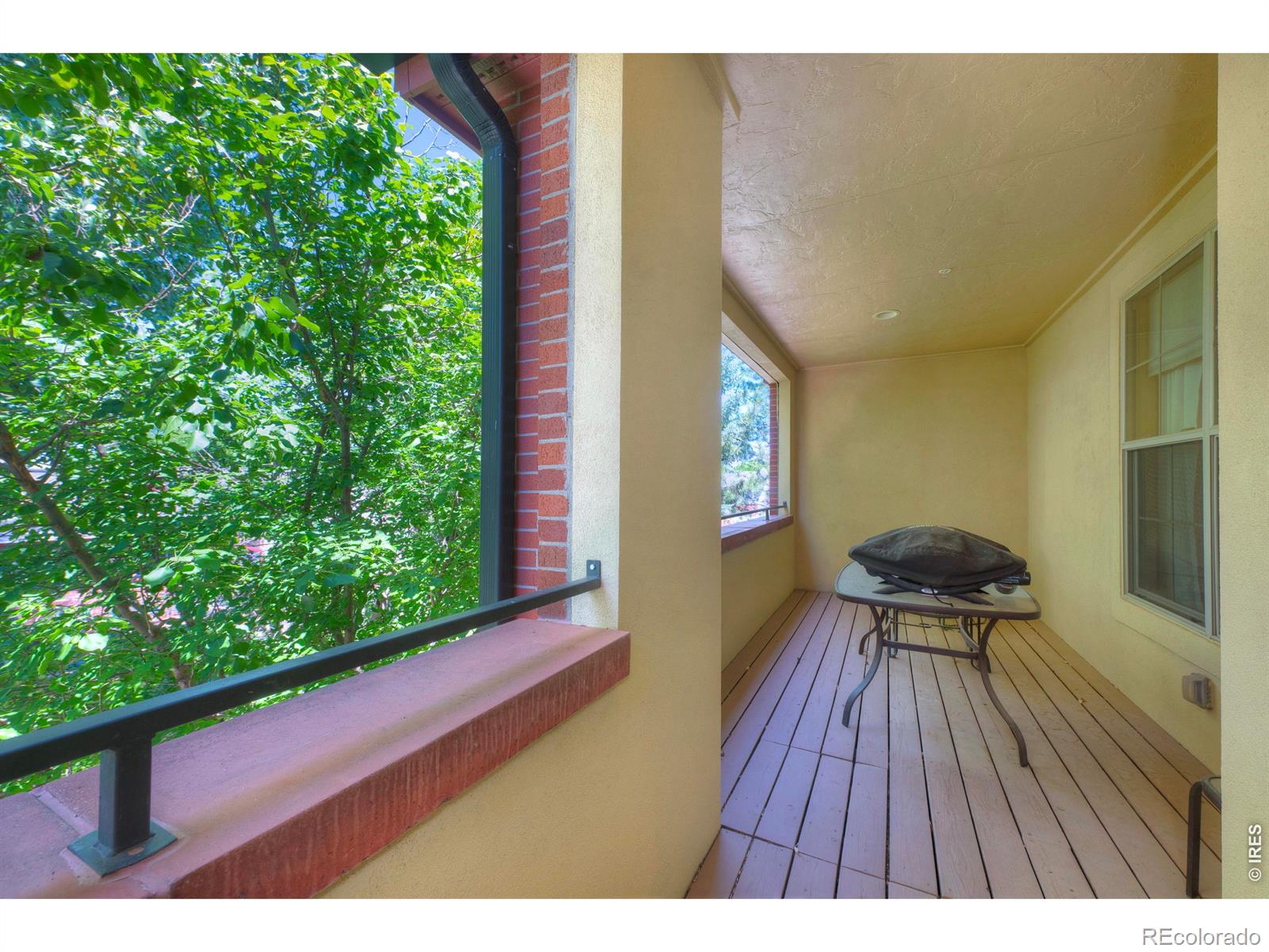 MLS Image #17 for 1379  charles drive,longmont, Colorado