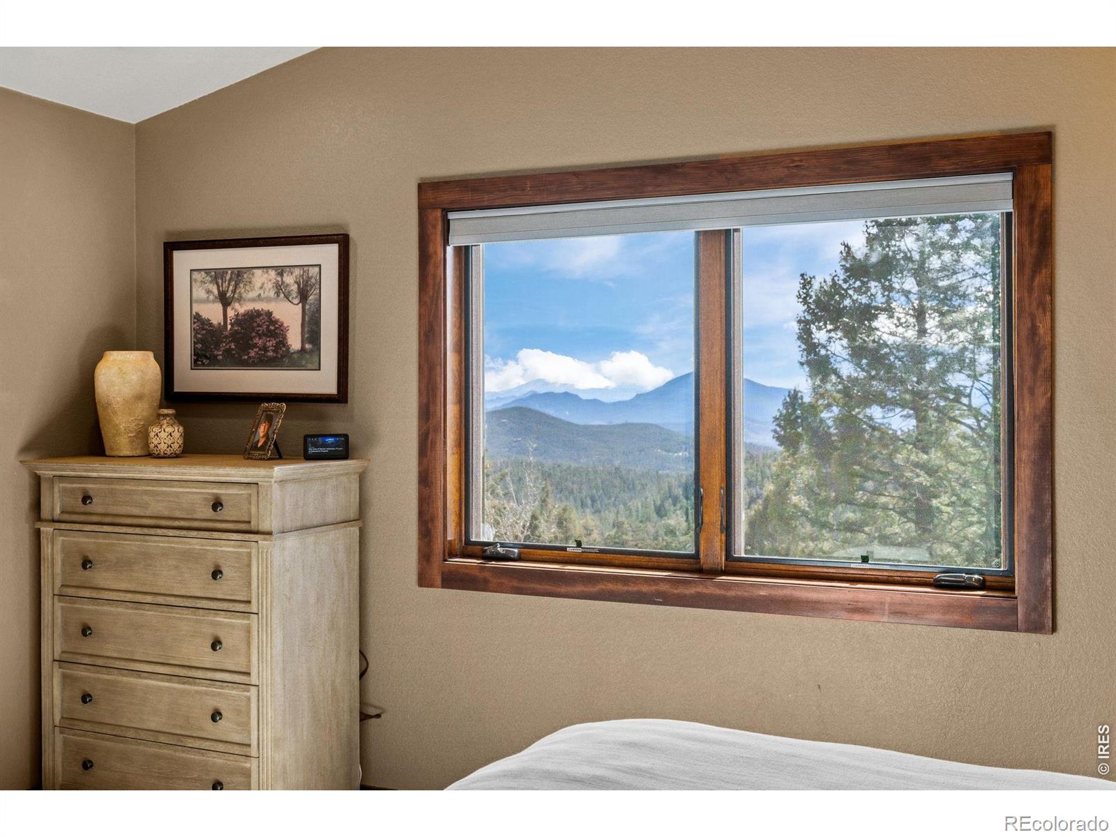 MLS Image #23 for 31468  kings valley,conifer, Colorado