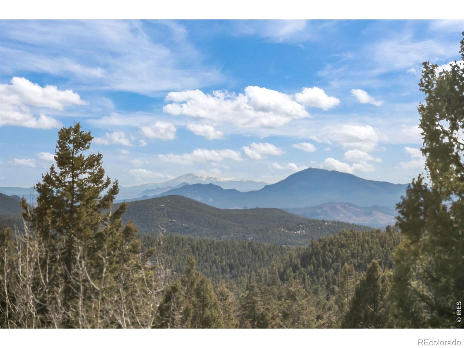 MLS Image #24 for 31468  kings valley,conifer, Colorado