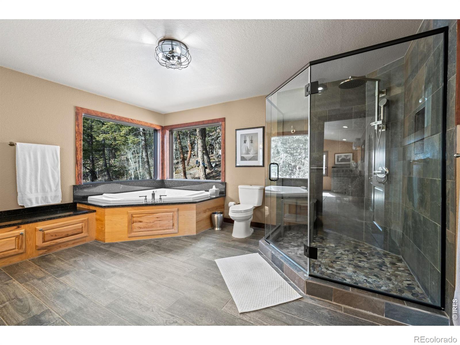 MLS Image #27 for 31468  kings valley,conifer, Colorado