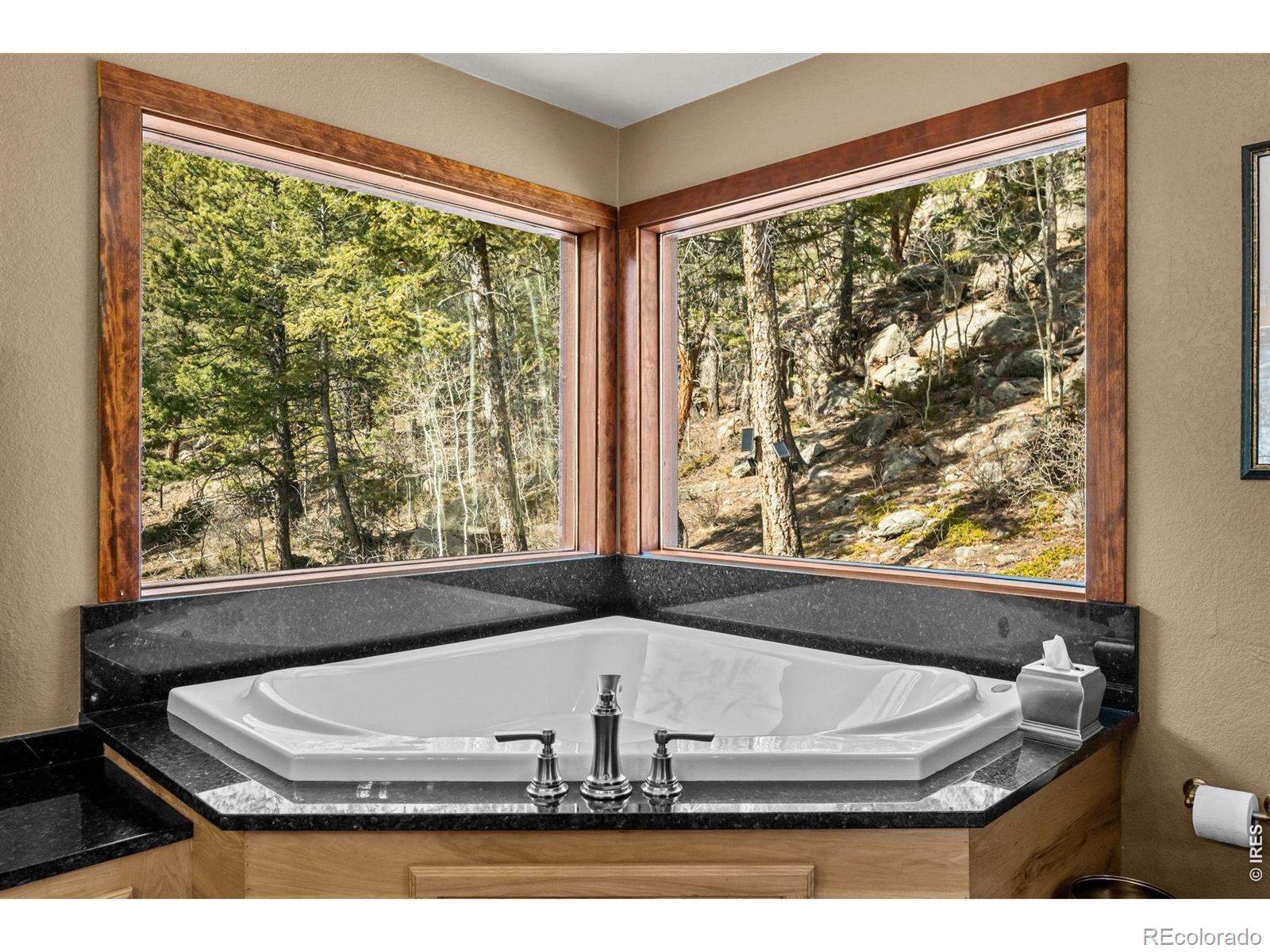 MLS Image #29 for 31468  kings valley,conifer, Colorado