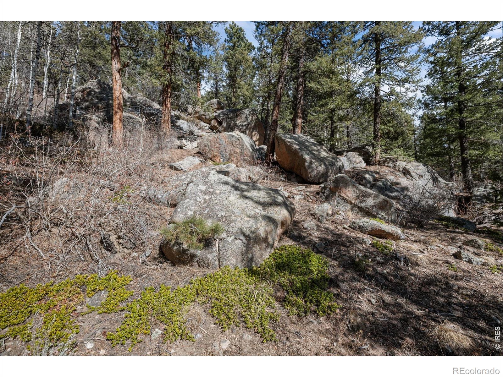 MLS Image #48 for 31468  kings valley,conifer, Colorado