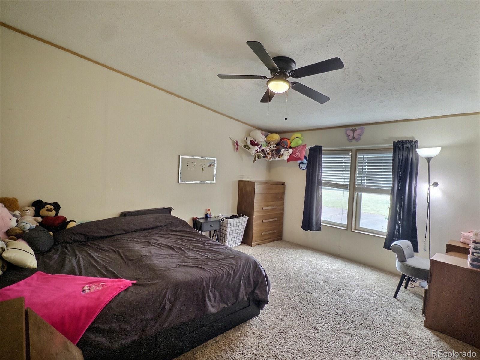 MLS Image #6 for 6480  crebs drive,peyton, Colorado