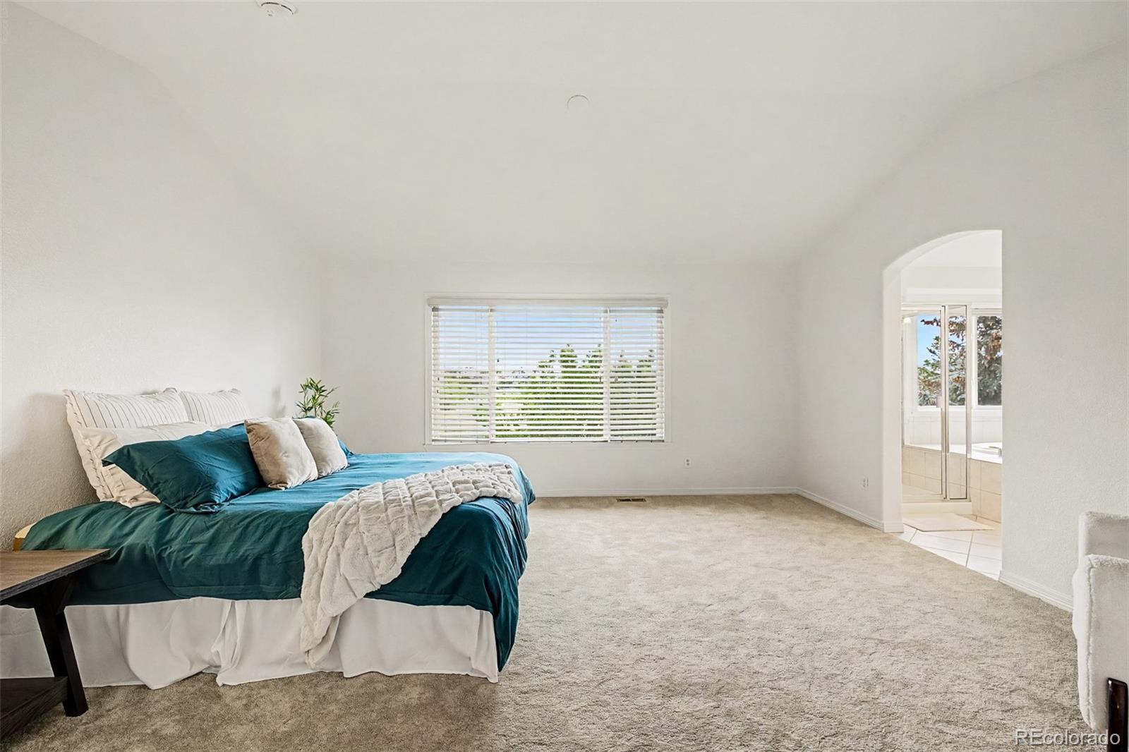MLS Image #15 for 760  ridgemont circle,highlands ranch, Colorado