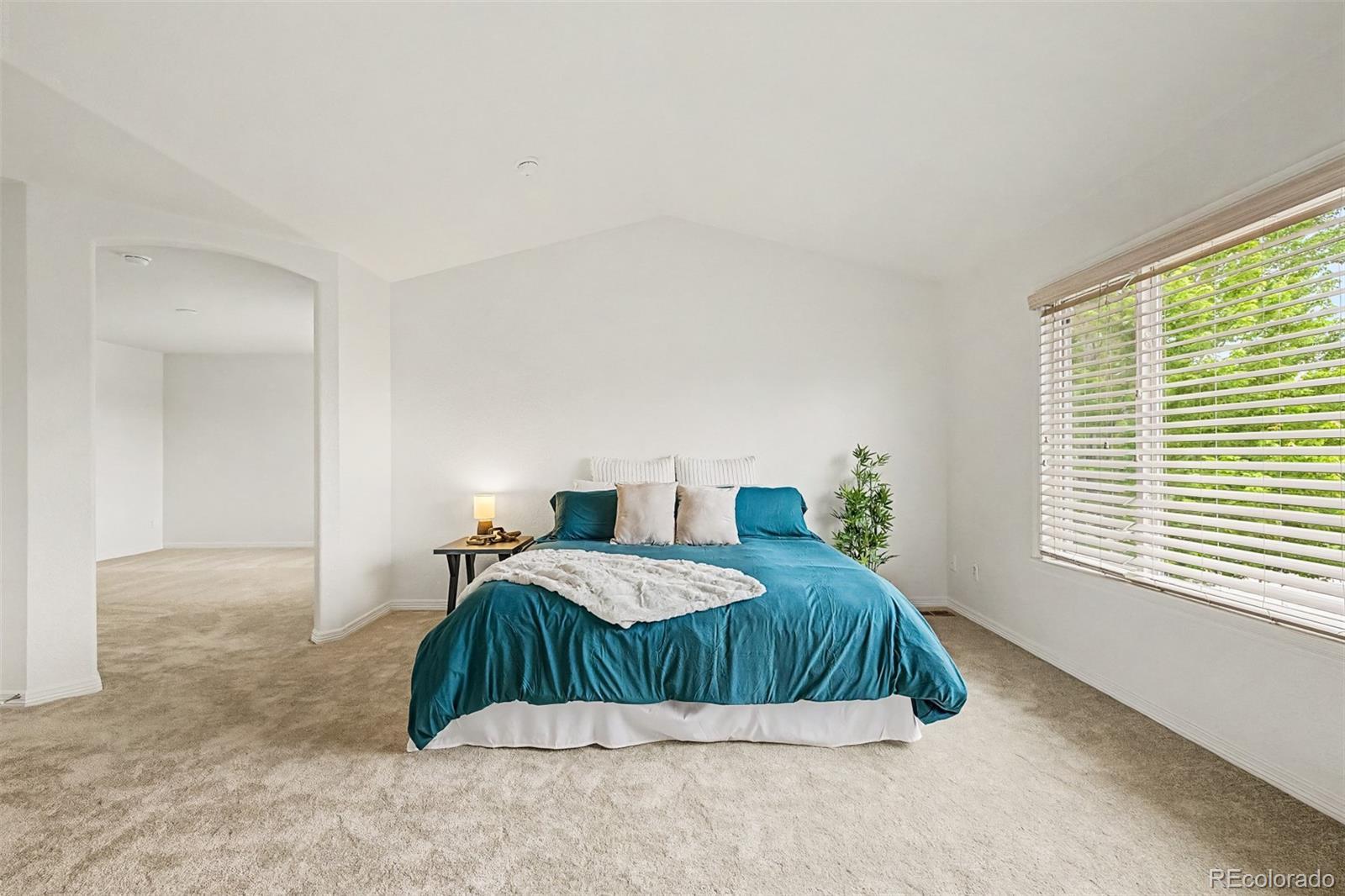 MLS Image #16 for 760  ridgemont circle,highlands ranch, Colorado