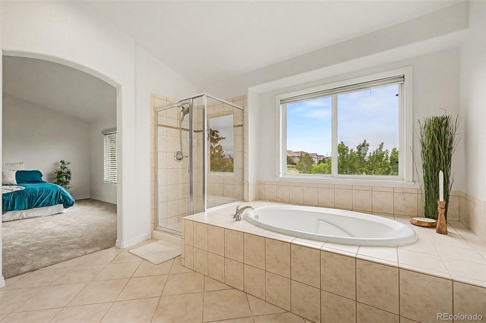 MLS Image #21 for 760  ridgemont circle,highlands ranch, Colorado