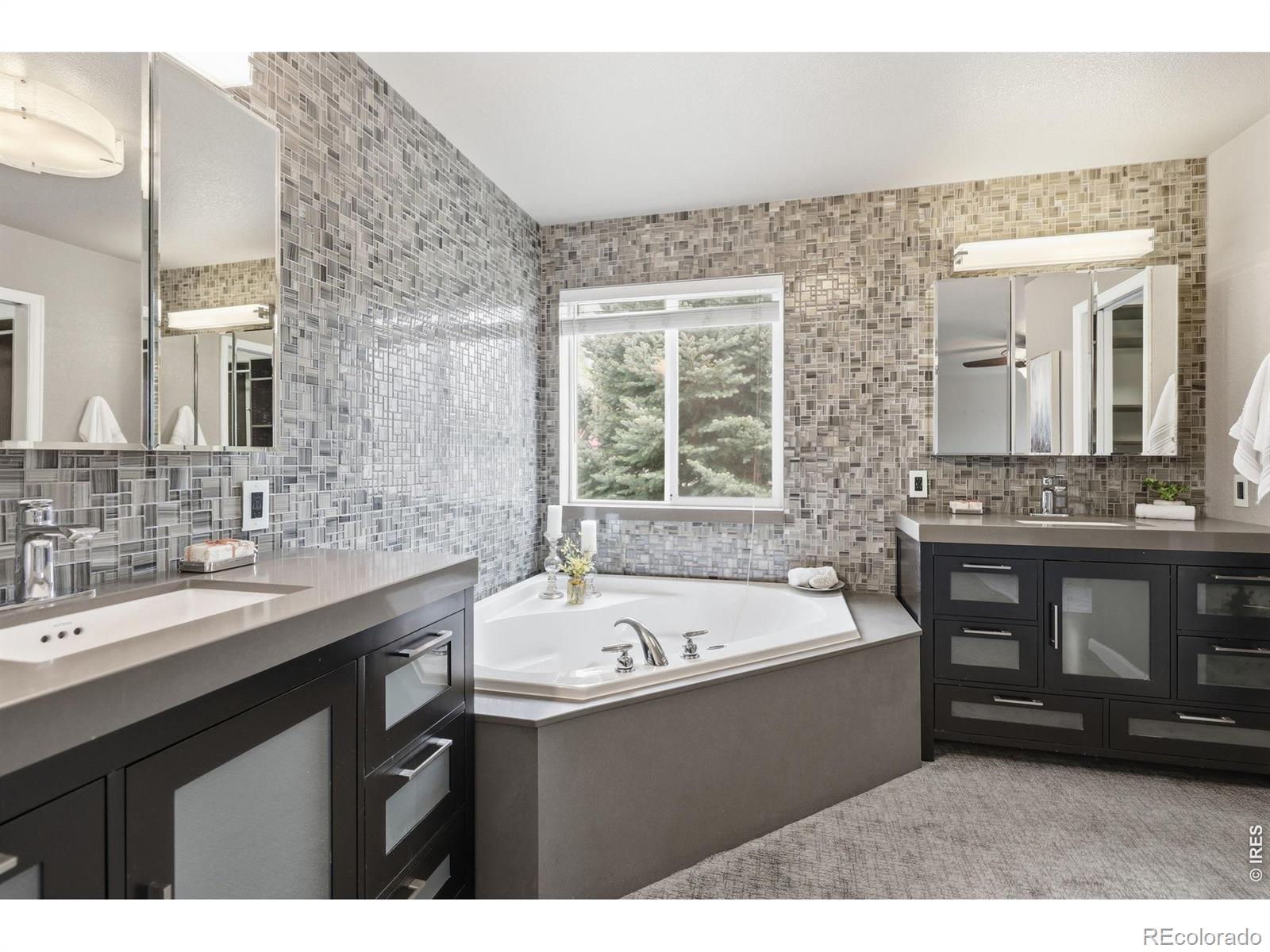 MLS Image #10 for 2302  barn swallow drive,longmont, Colorado