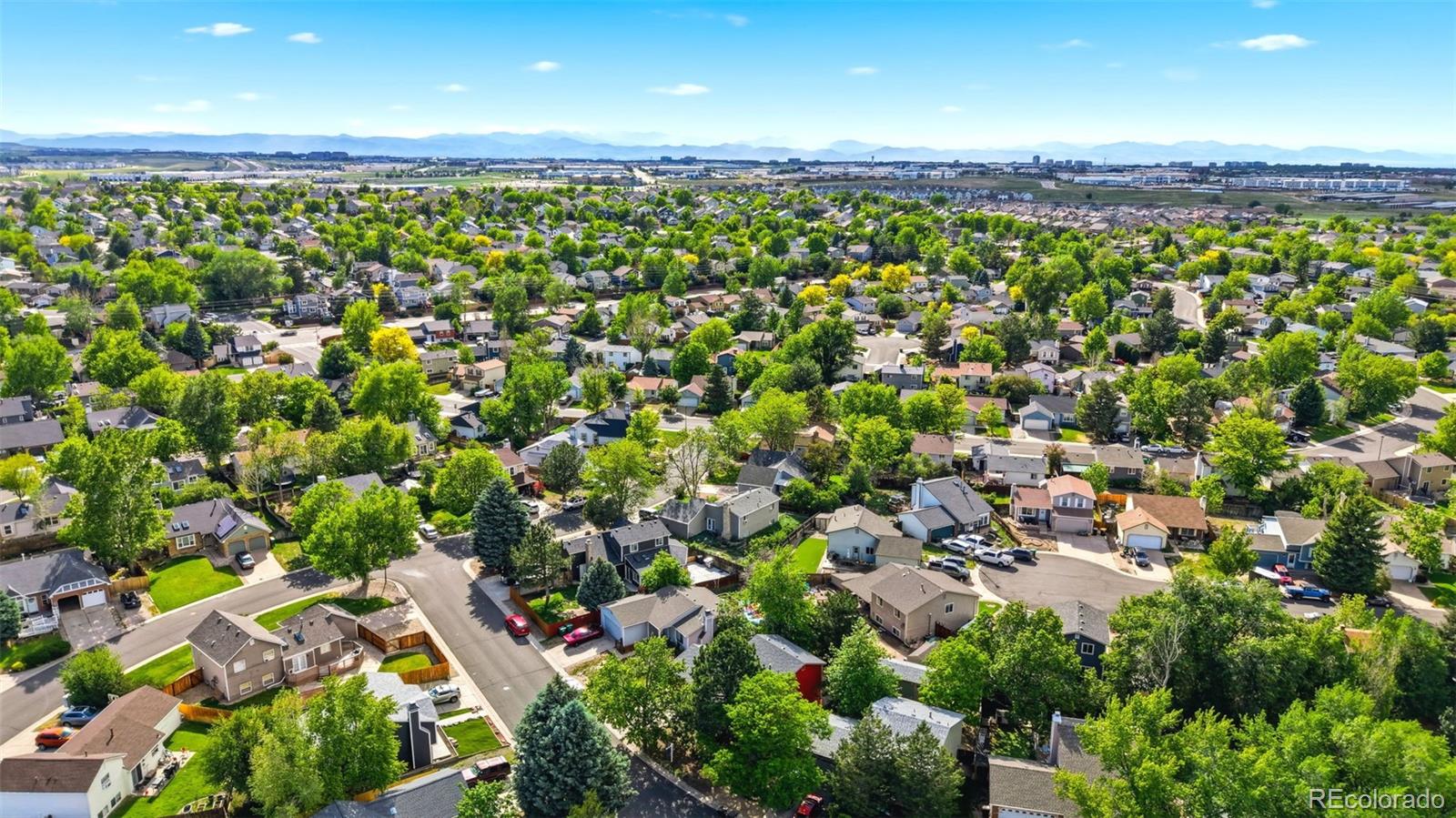 MLS Image #31 for 8477  prairie clover way,parker, Colorado