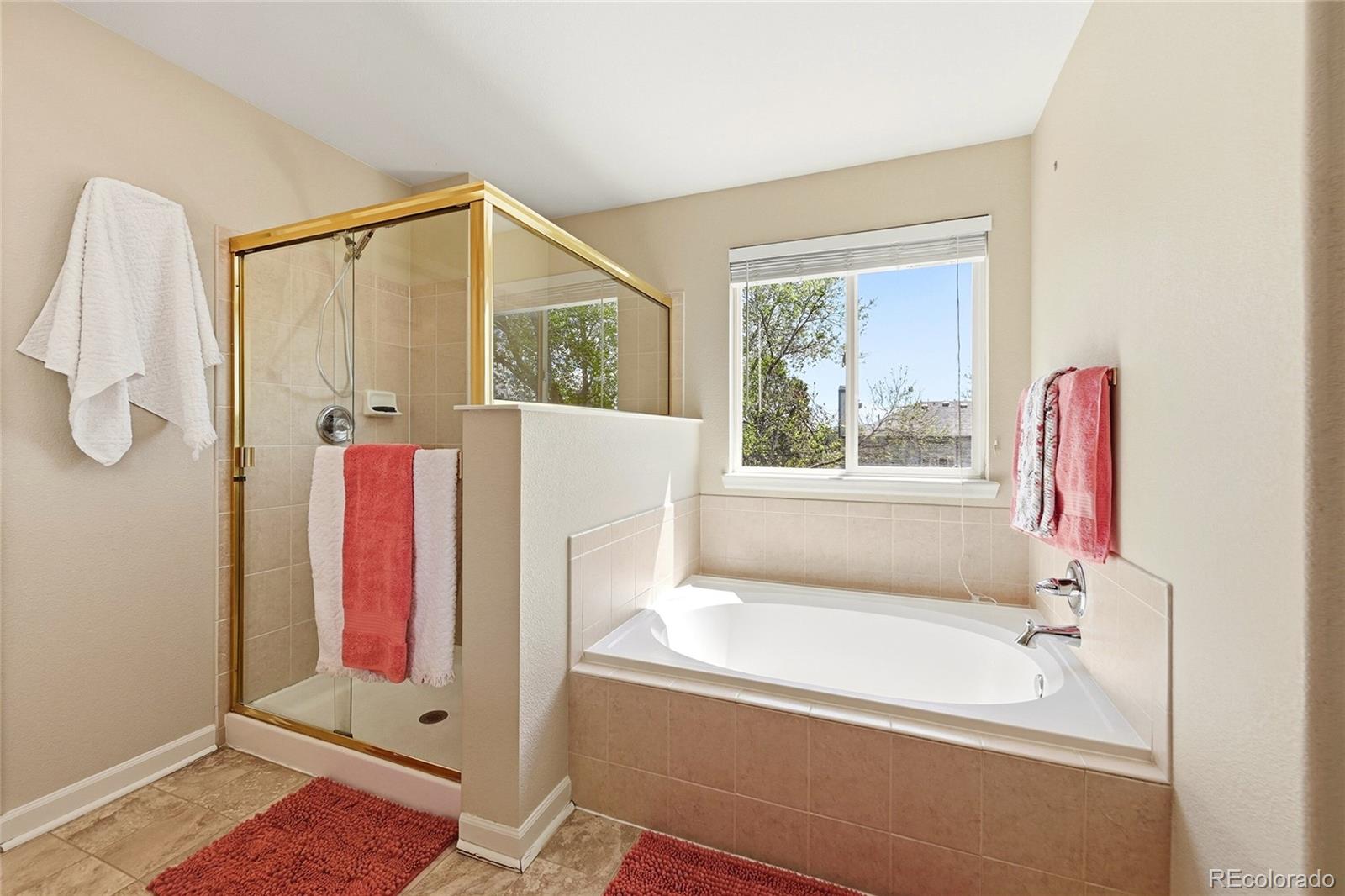 MLS Image #19 for 5504 e burlington drive,castle rock, Colorado