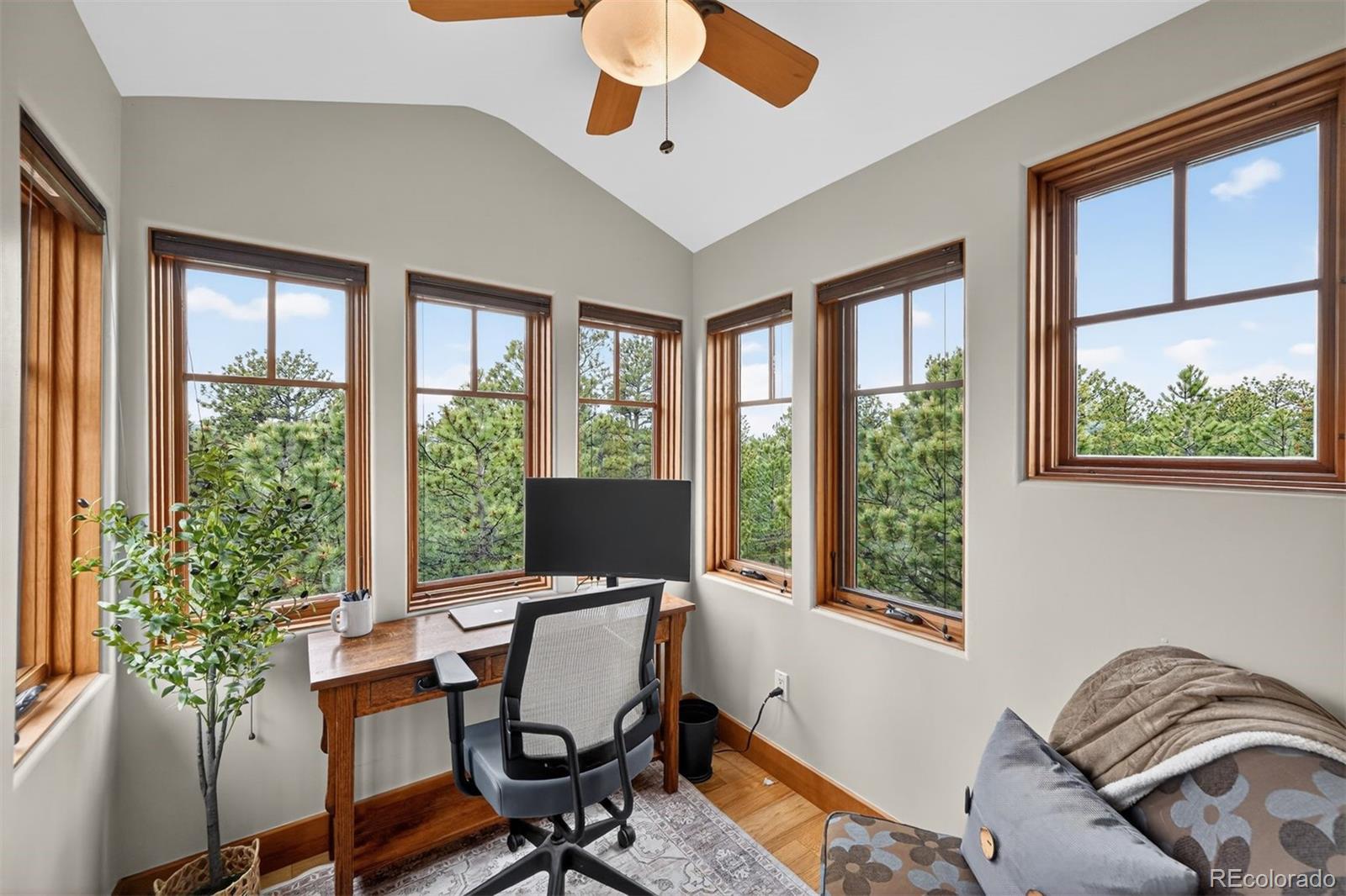 MLS Image #24 for 811  ballantine road,golden, Colorado