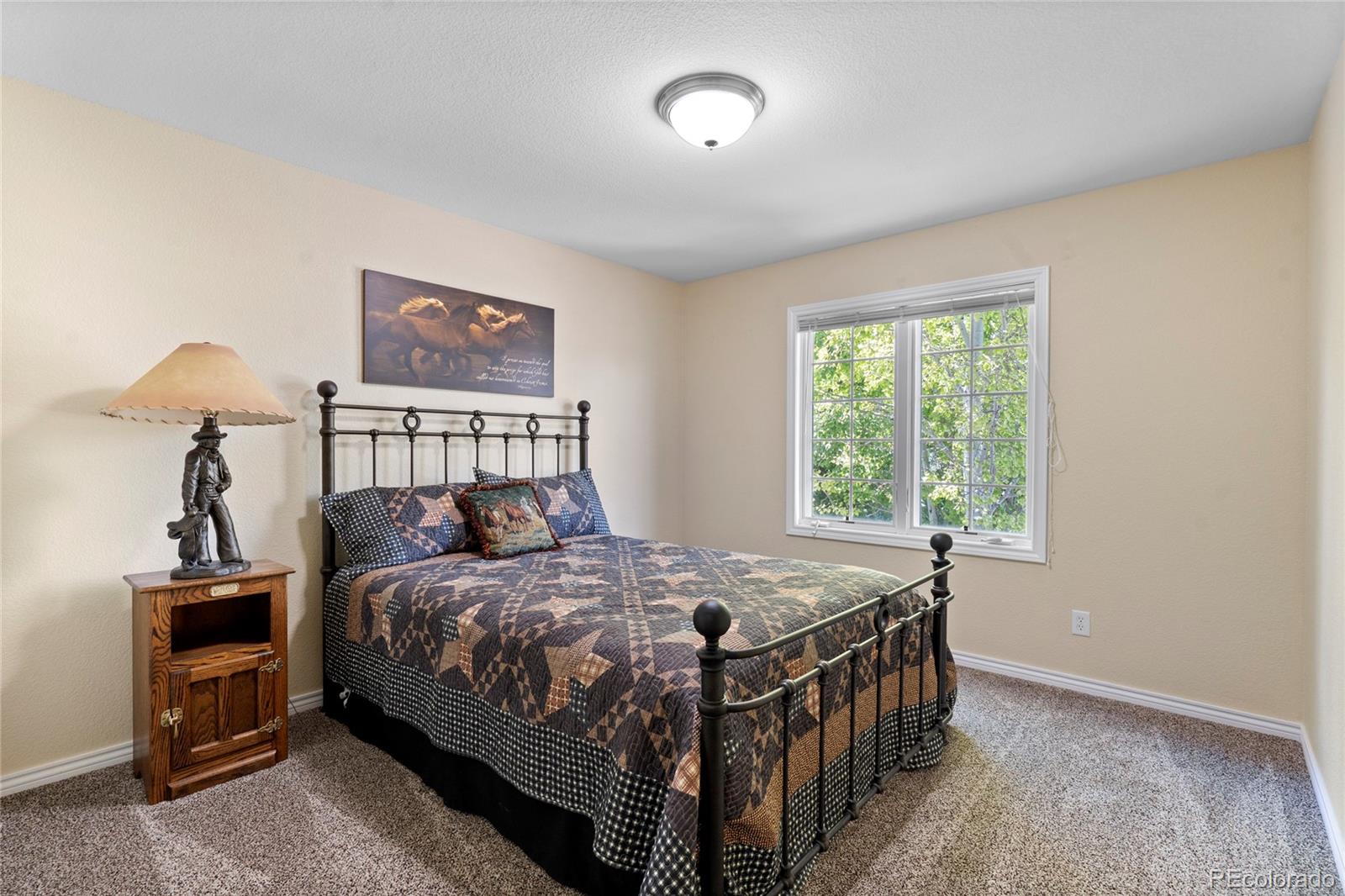 MLS Image #24 for 1591  landon court,windsor, Colorado
