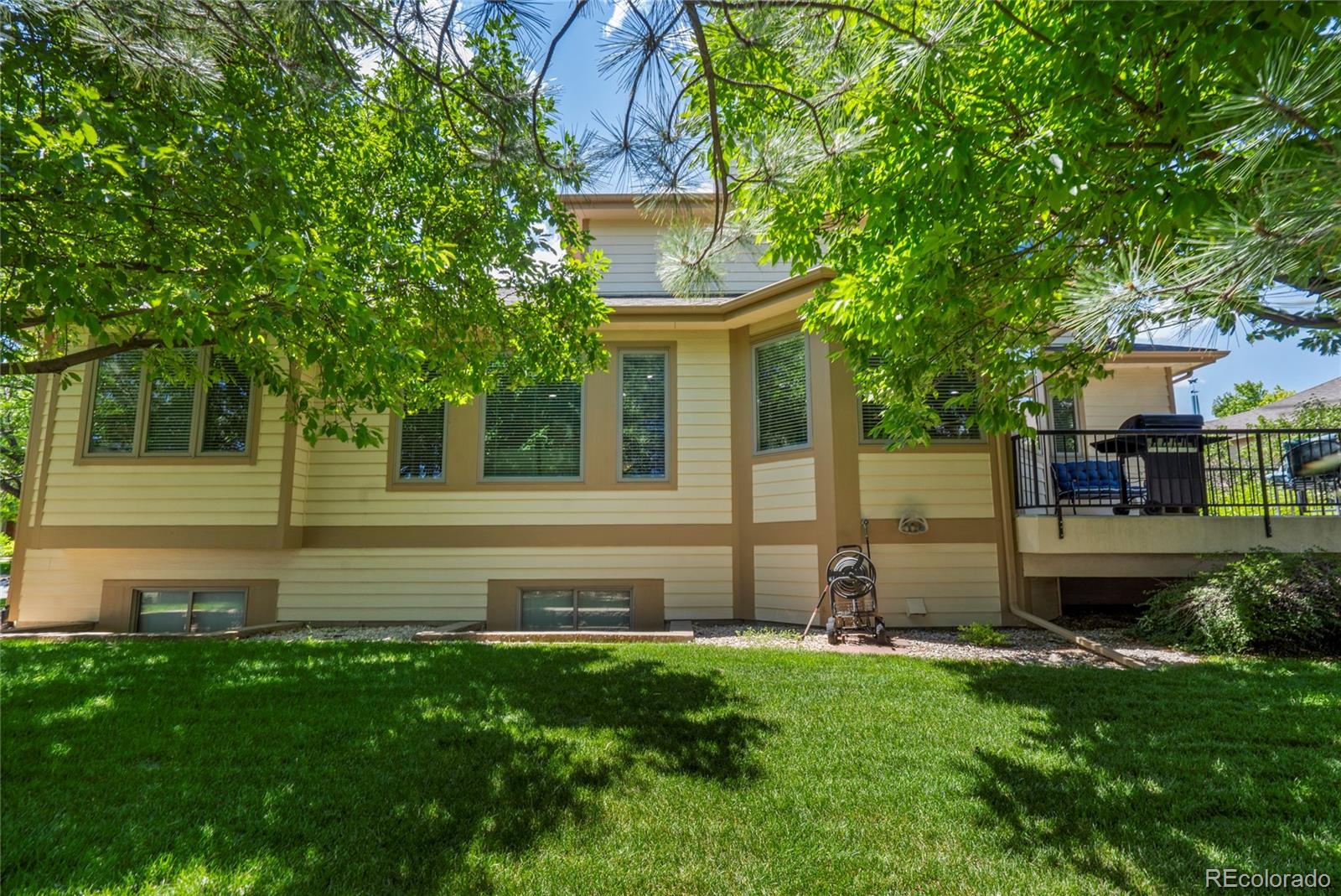 MLS Image #36 for 1591  landon court,windsor, Colorado