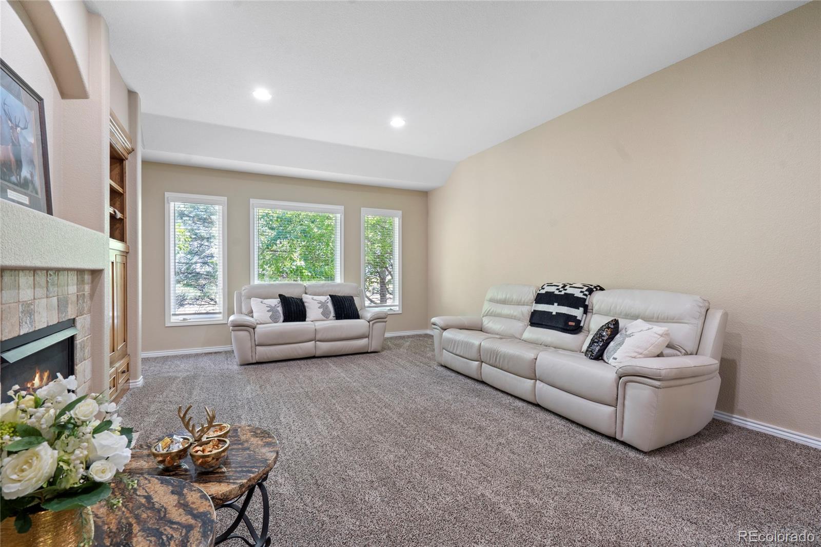 MLS Image #5 for 1591  landon court,windsor, Colorado
