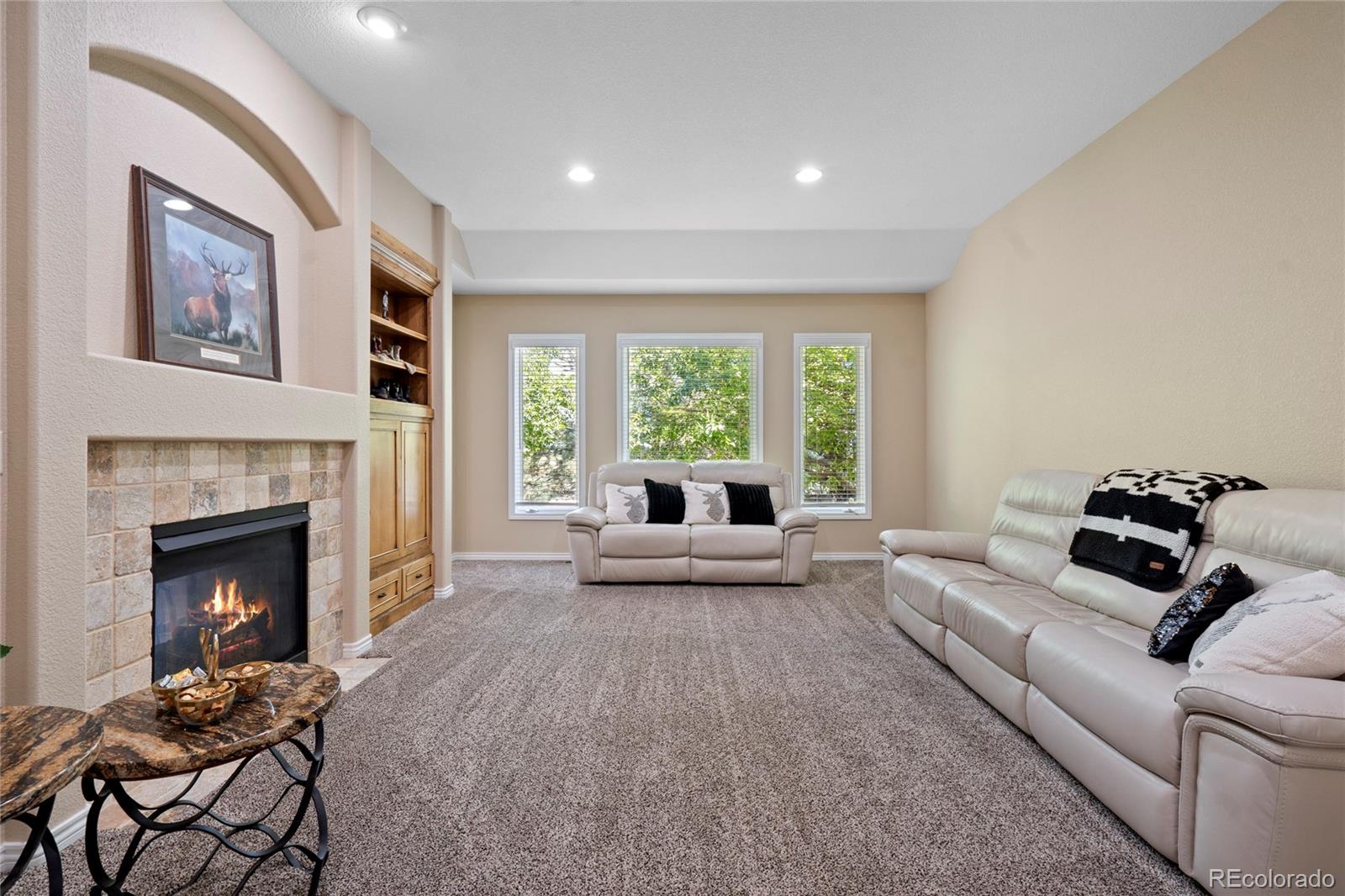 MLS Image #6 for 1591  landon court,windsor, Colorado