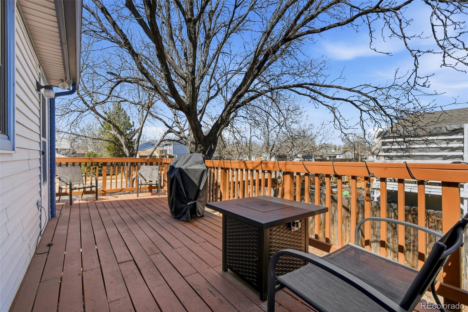 MLS Image #33 for 1554  ervine avenue,longmont, Colorado