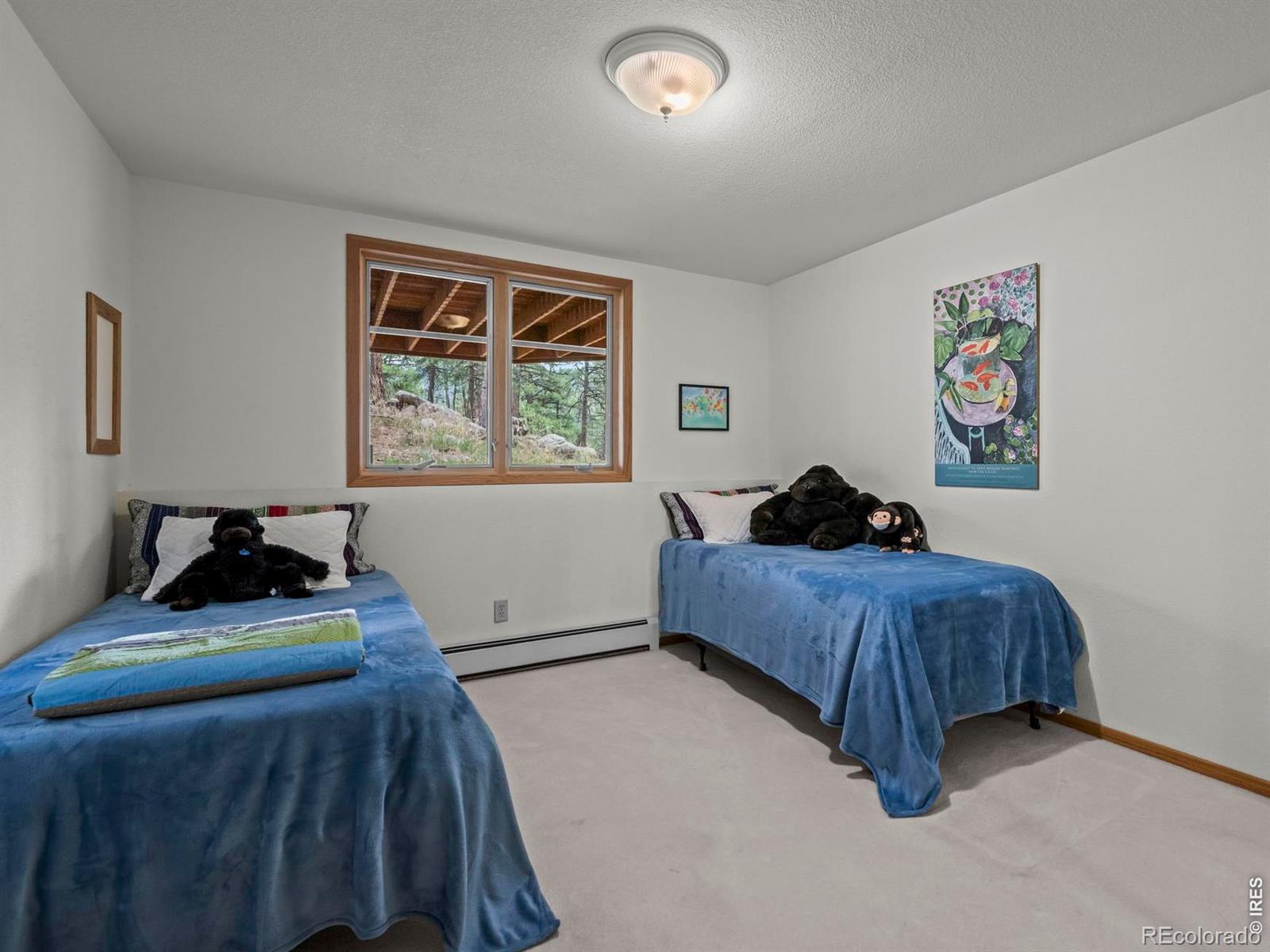 MLS Image #27 for 38411  boulder canyon drive,boulder, Colorado